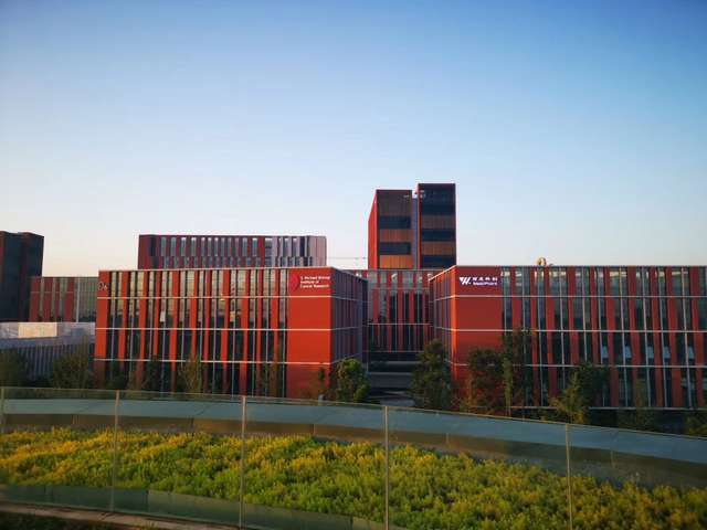 卧式排污泵哪家好